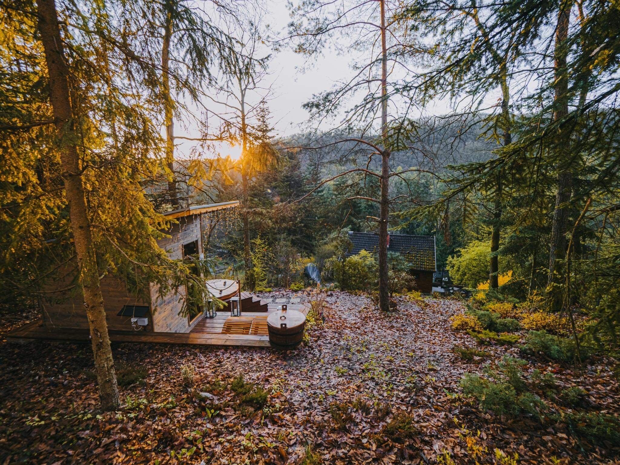 Moodhouse2623 Kismaros