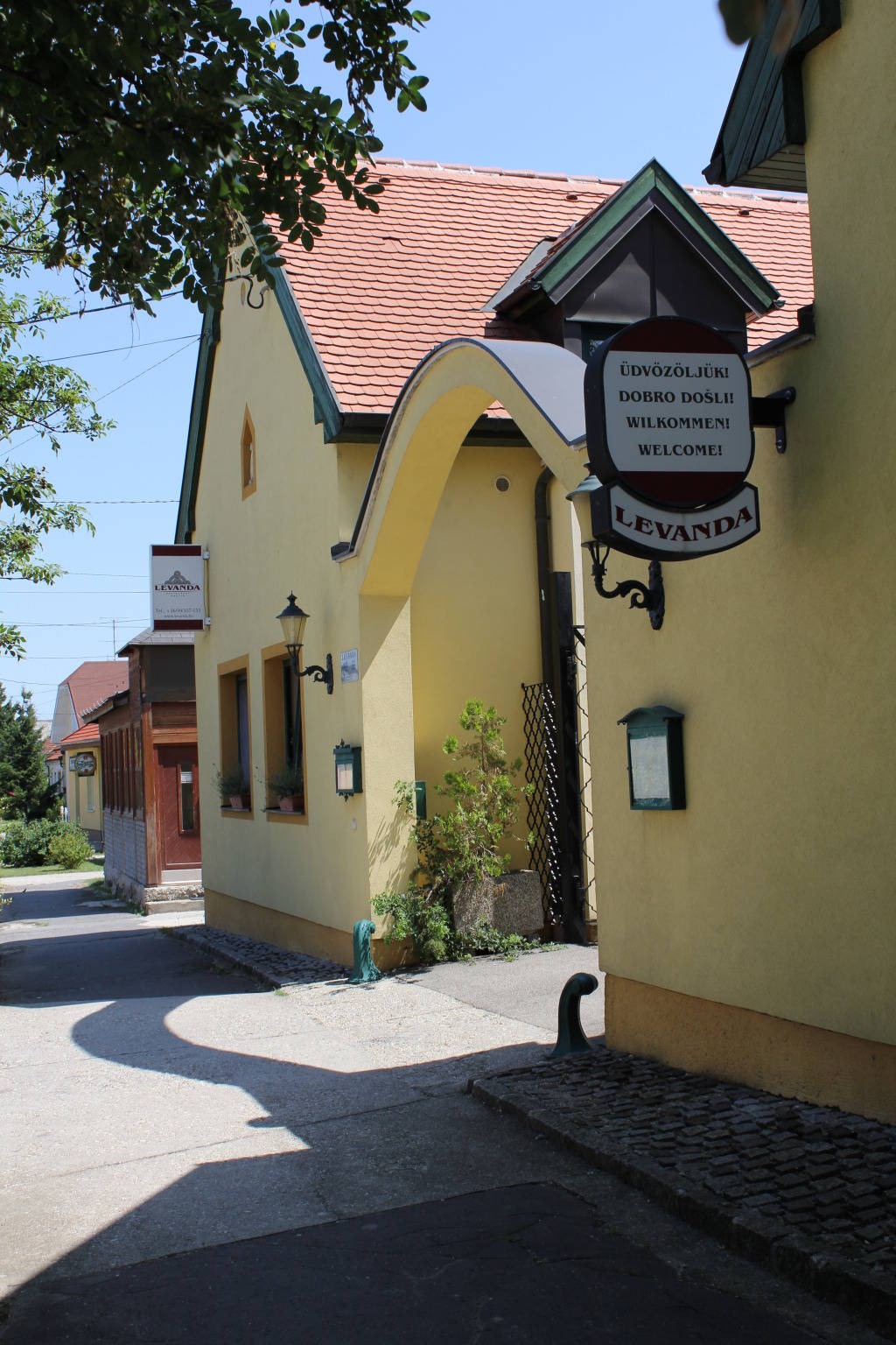 Levanda Panzio Kophaza