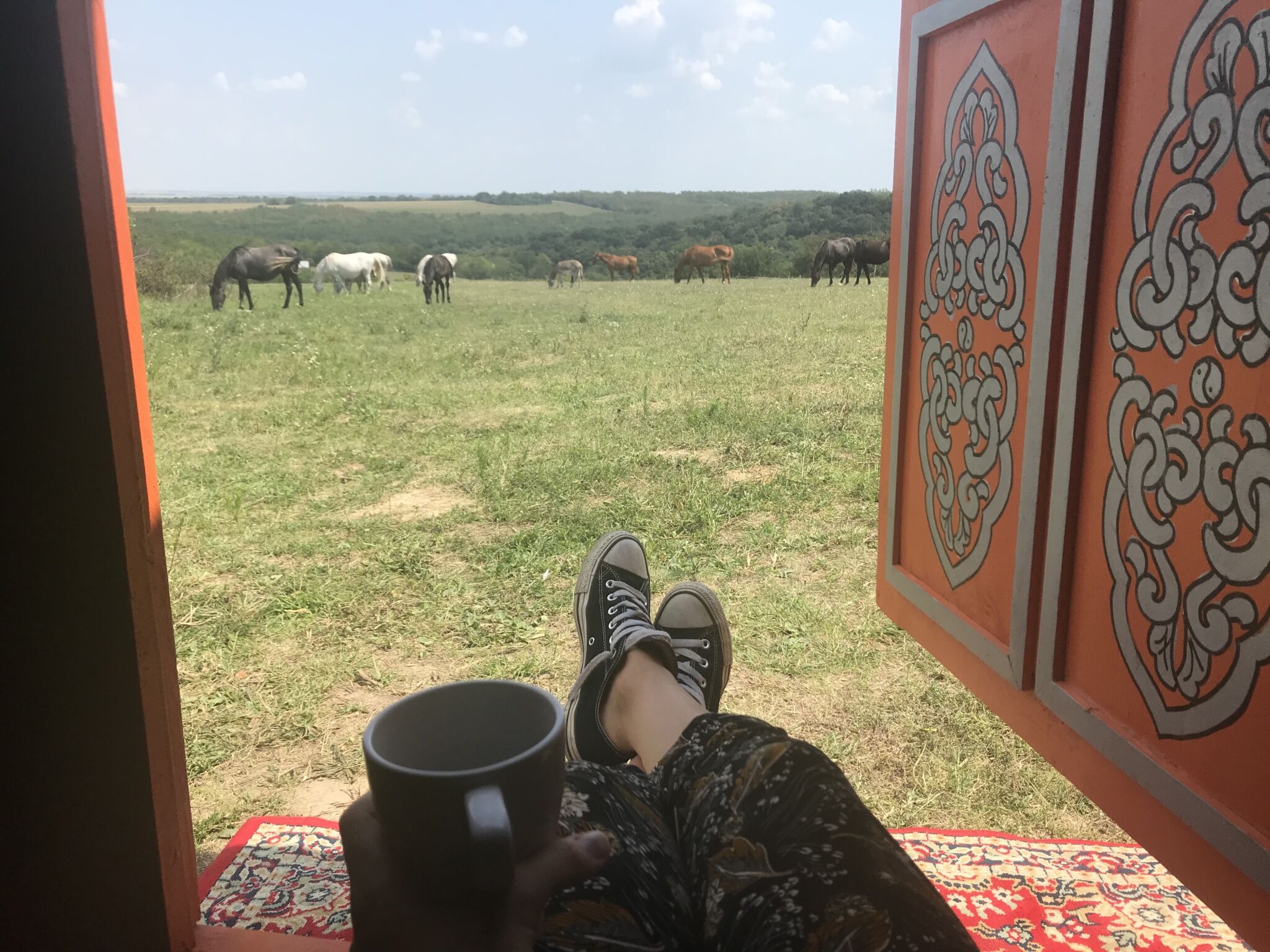 Dharma Mentett Allatok Kertje Bungalok Farmping Siofok