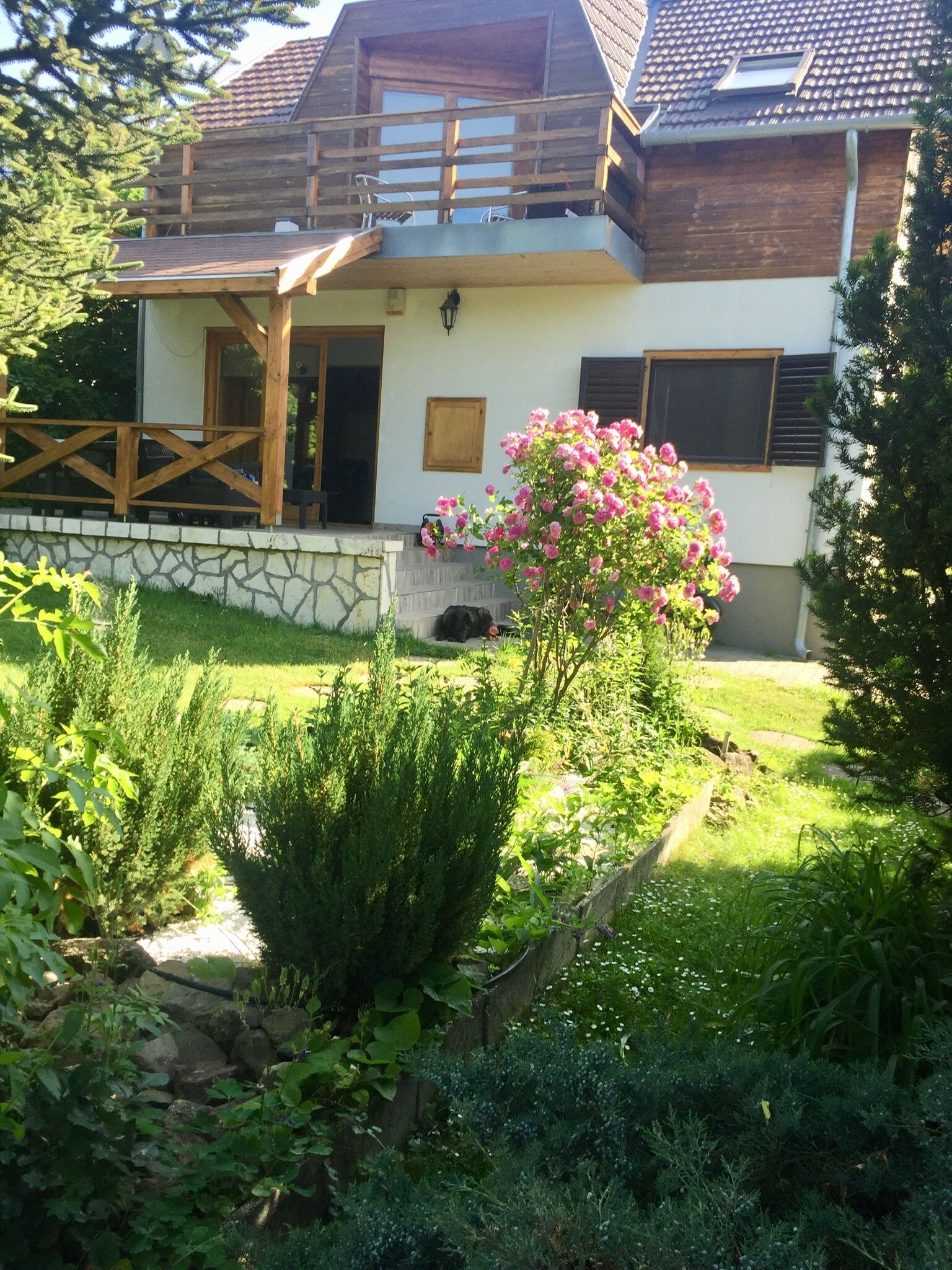 Tulipan Haz Szentendre